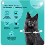 Venttura Amino+ Cat – Amino Acids & Multivitamin Supplement