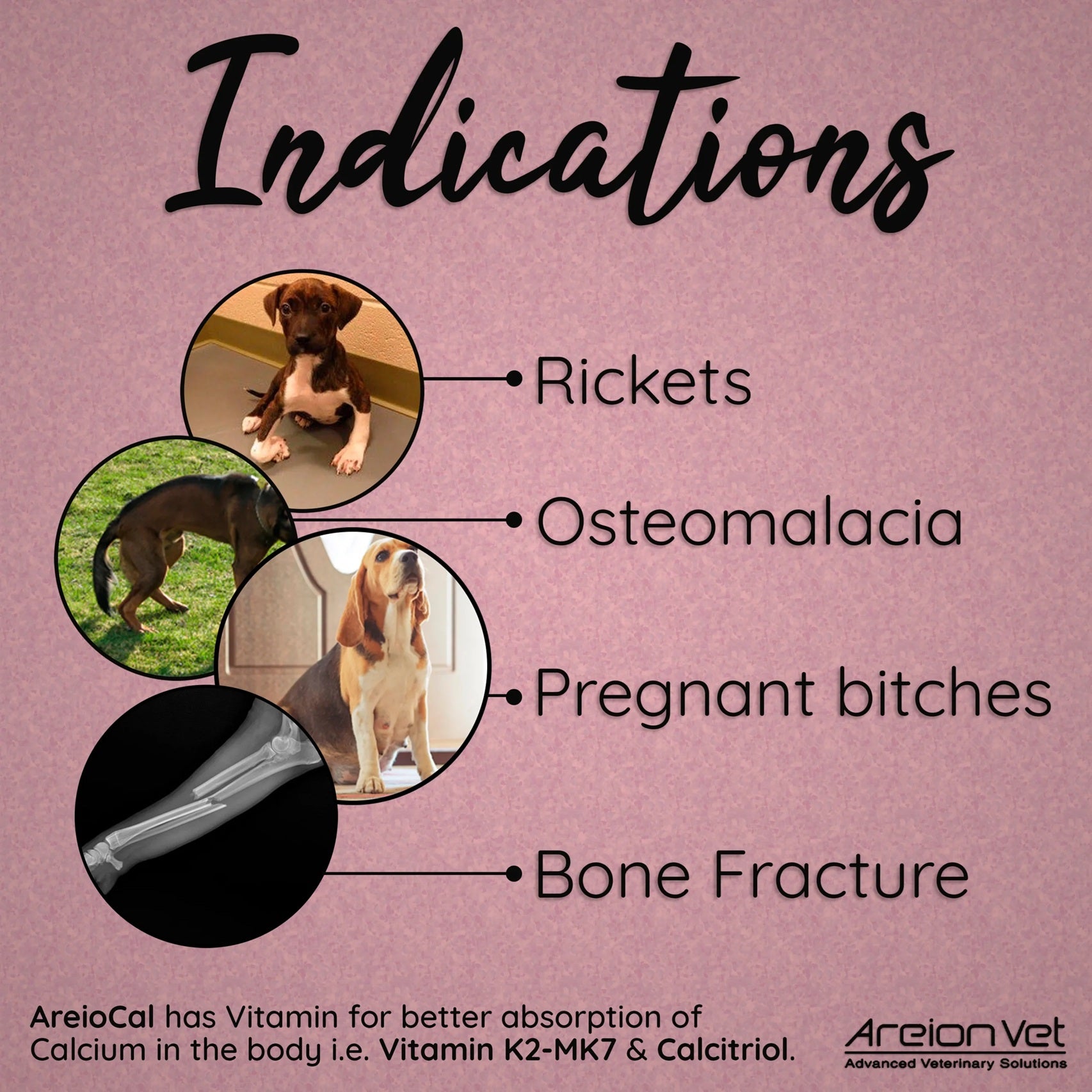 Areion Vet - AreioCal - Chewable Tablet Calcium & Vitamin Supplement for Dogs and Cats