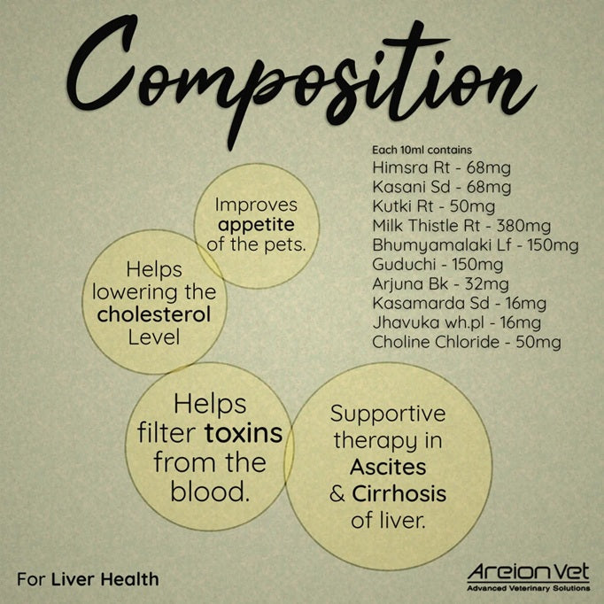 Areion Vet - AreioLiv Syrup - Liver Health Support for Dogs & Cats