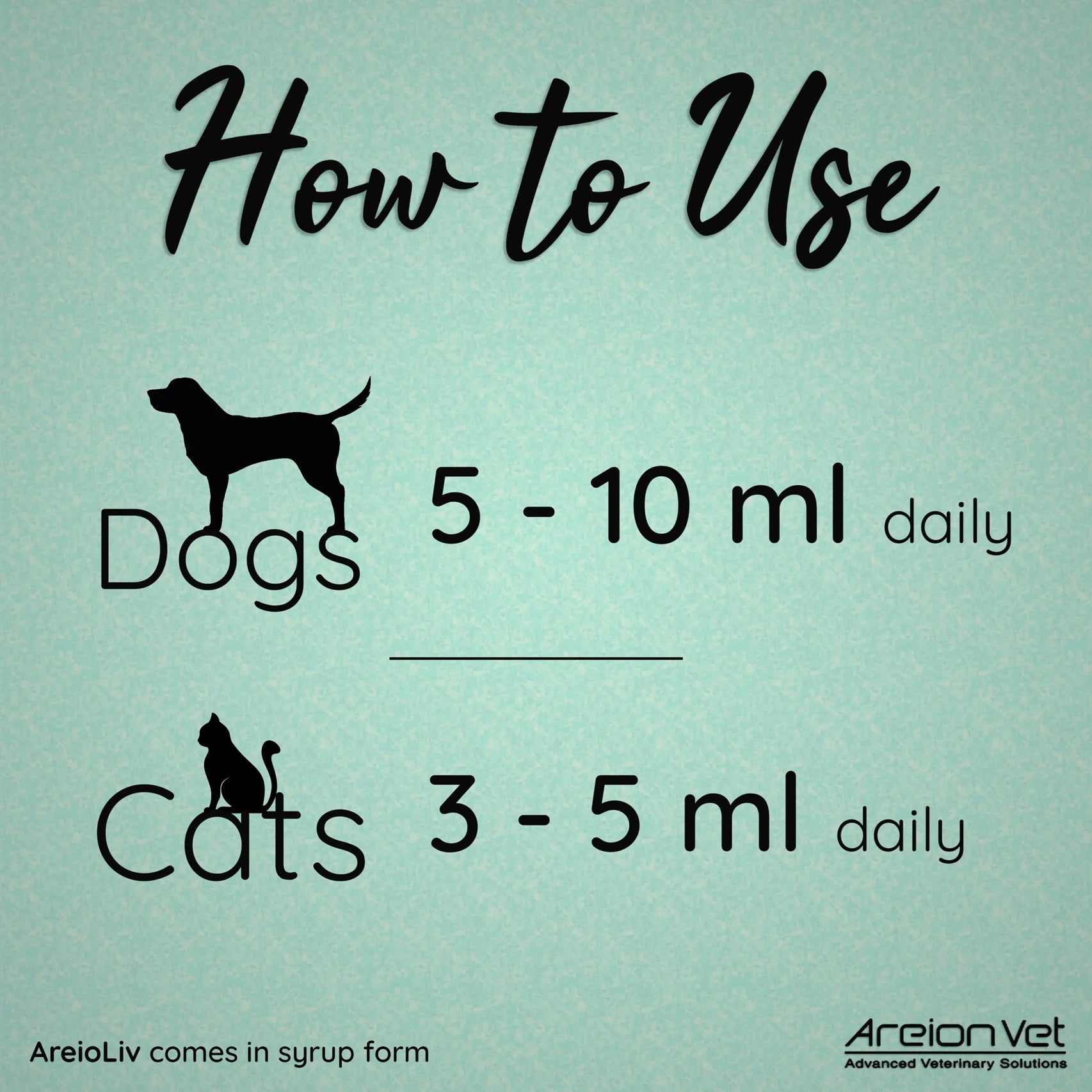 Areion Vet - AreioLiv Syrup - Liver Health Support for Dogs & Cats