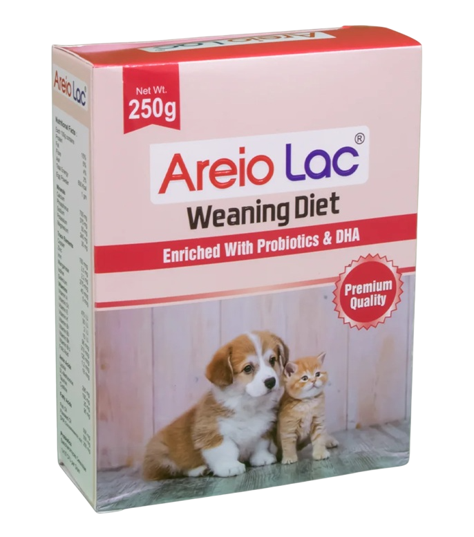 Areion Vet Areio Lac Enriched With Probiotics & DHA Weaning Diet Supplement For Puppy & Kitten