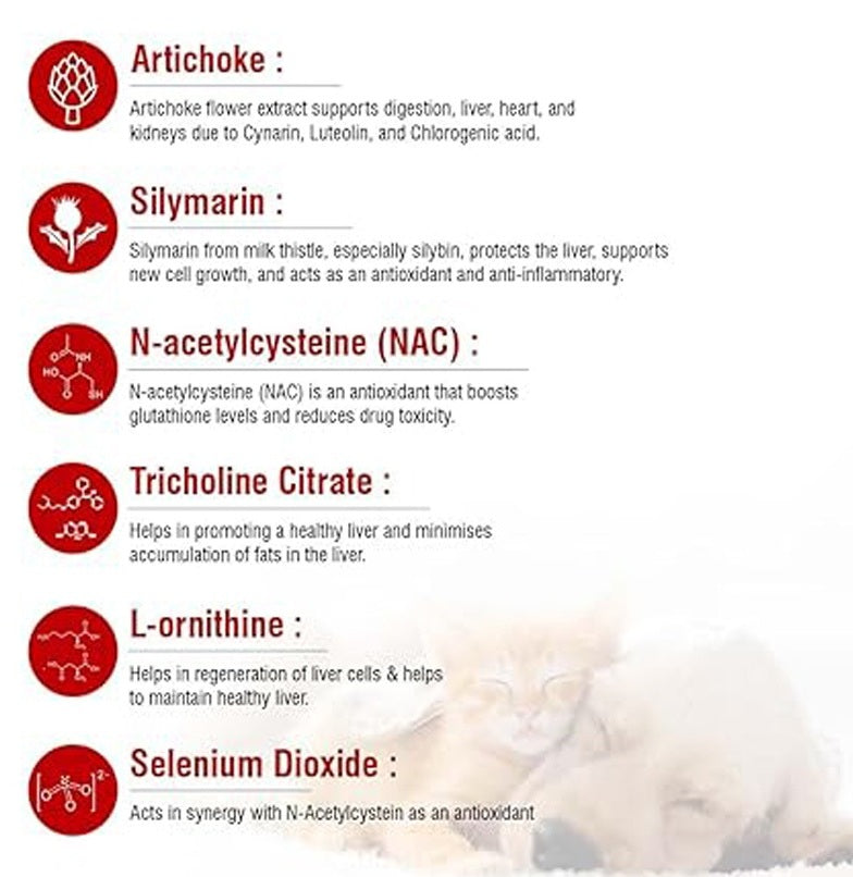 My Pet Solutions Artimarin Suspension