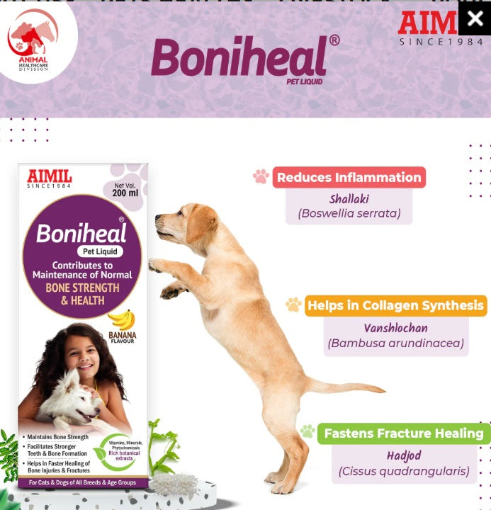 AIMIL Boniheal Pet Liquid - For Bone Health & Strength Supplement - Banana Flavored