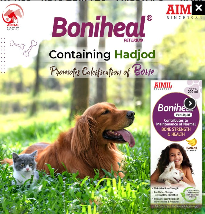 AIMIL Boniheal Pet Liquid - For Bone Health & Strength Supplement - Banana Flavored