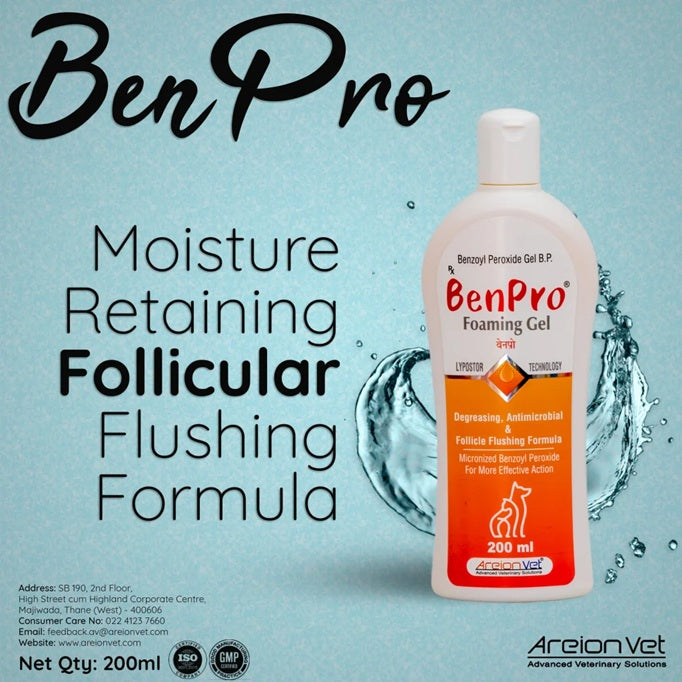Areion Vet - Benpro Foaming Gel For Dogs - Advanced Antimicrobial Treatment for Dogs