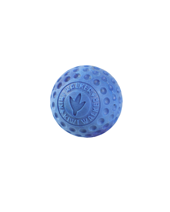 Kiwi Walker Ball Blue Dog Toy