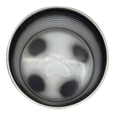 Holy Paws Rival Shade Dog Bowl