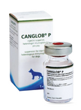 Dyntec Canglob P Injection For Dogs