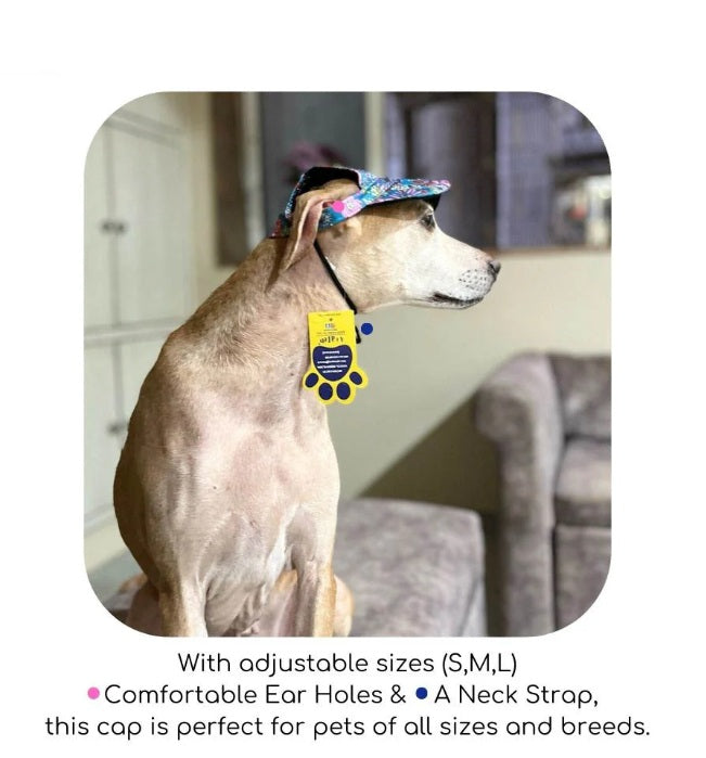 A+a Pets Baseball Cap For Small Dogs & Cats With Toggle Multicolour