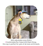 A+a Pets Baseball Cap For Small Dogs & Cats With Toggle Multicolour