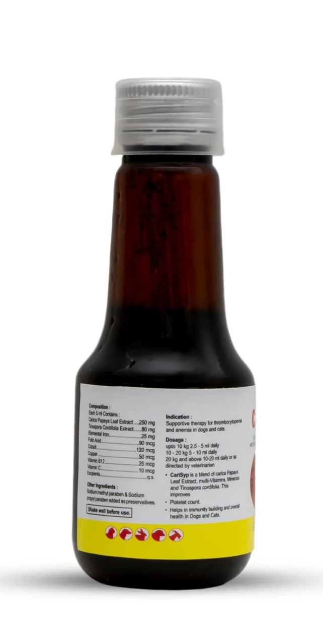 Areion Vet Carisyp Syrup For Dogs & Cats