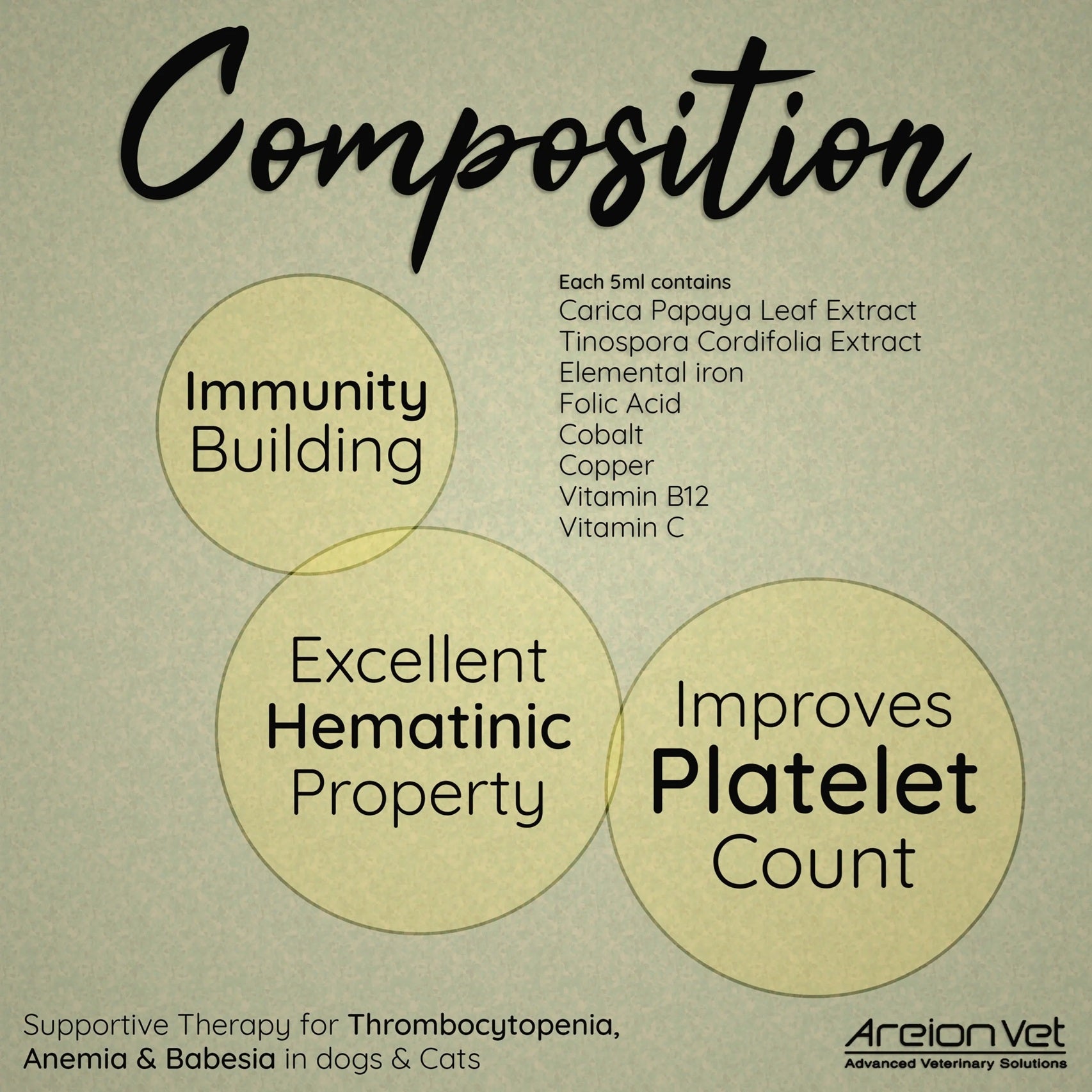 Areion Vet Carisyp Syrup For Dogs & Cats