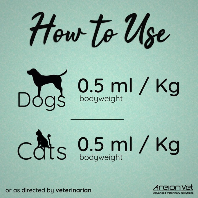 Areion Vet Carisyp Syrup For Dogs & Cats