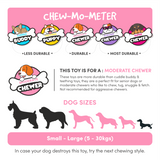 Fofos Flossy Braided Rope Dog Toy