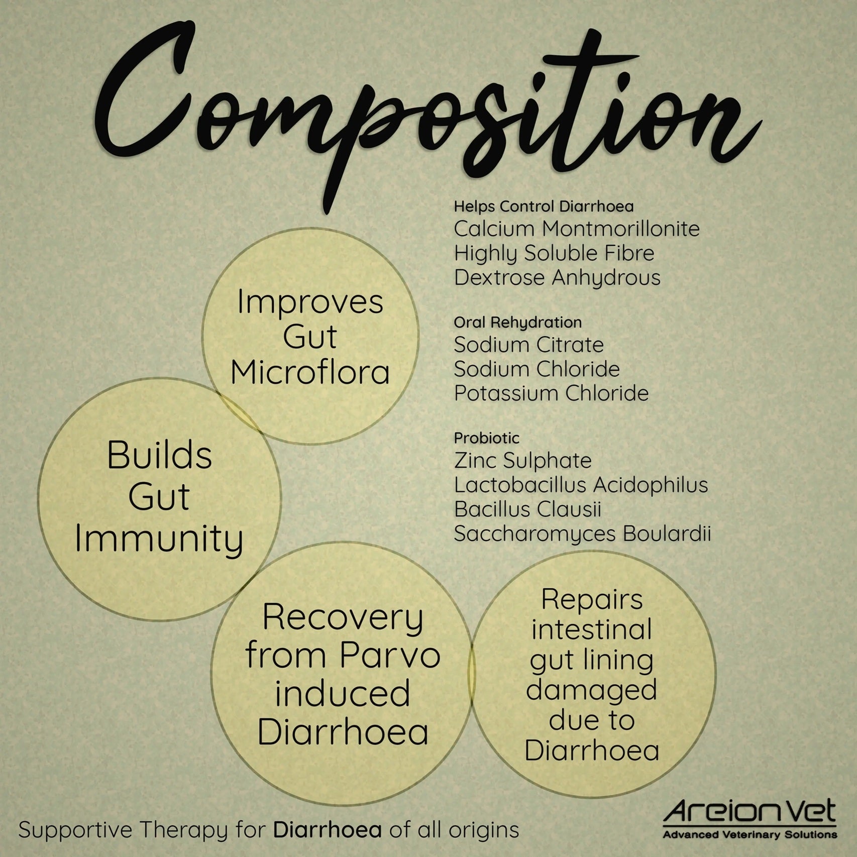 Areion Vet Dia Rest Gut Health Revival Formula For Dogs & Cats - (1 pc)