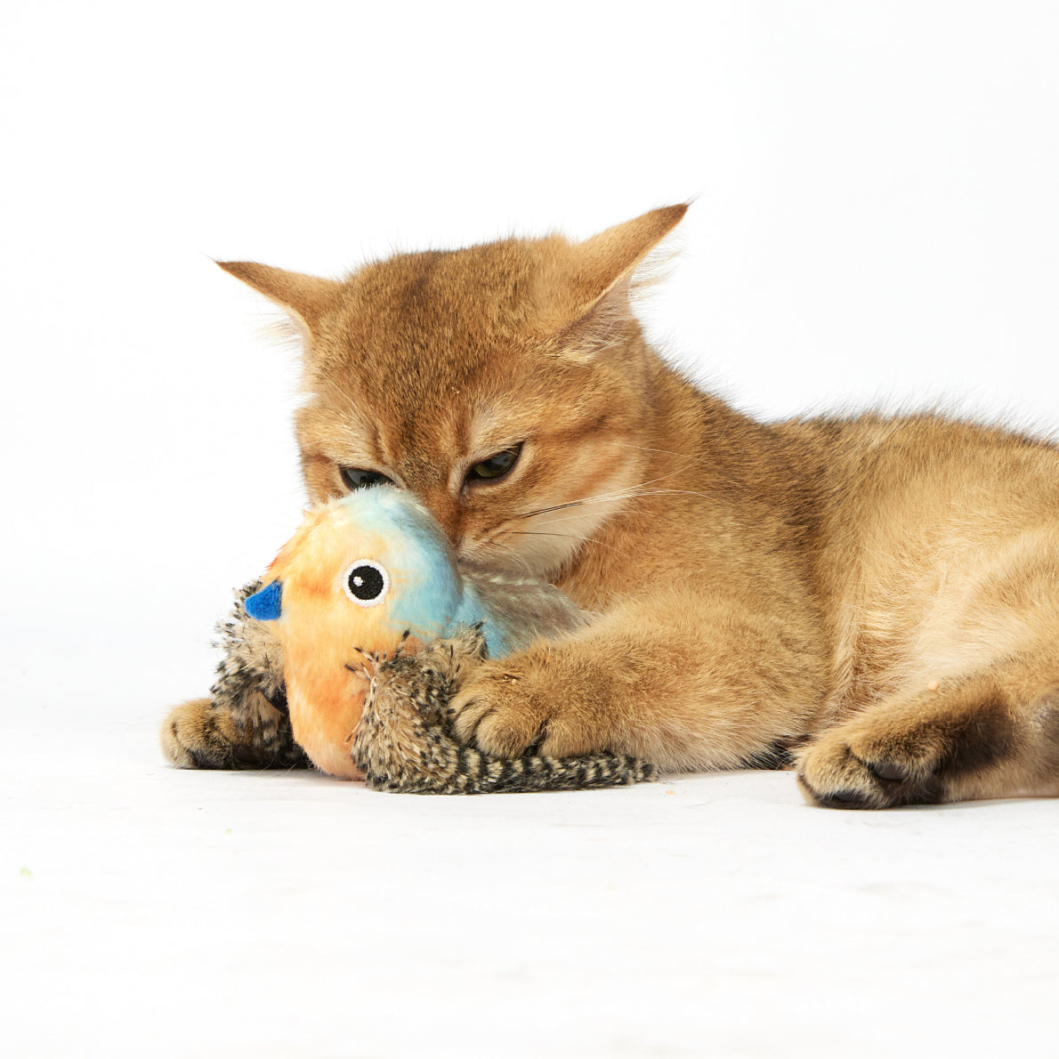 Fofos Blue Bird With Catnip Balls Cat Toy