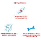Freossi Freossipower Ultimate Joint Care