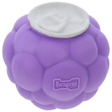 EE Toys Natural Latex Rubber Squeaky Dog Toy - Grapes Design