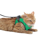 A+a Pets Feather Weight Harness & Leash Set For Cat & Small Dogs