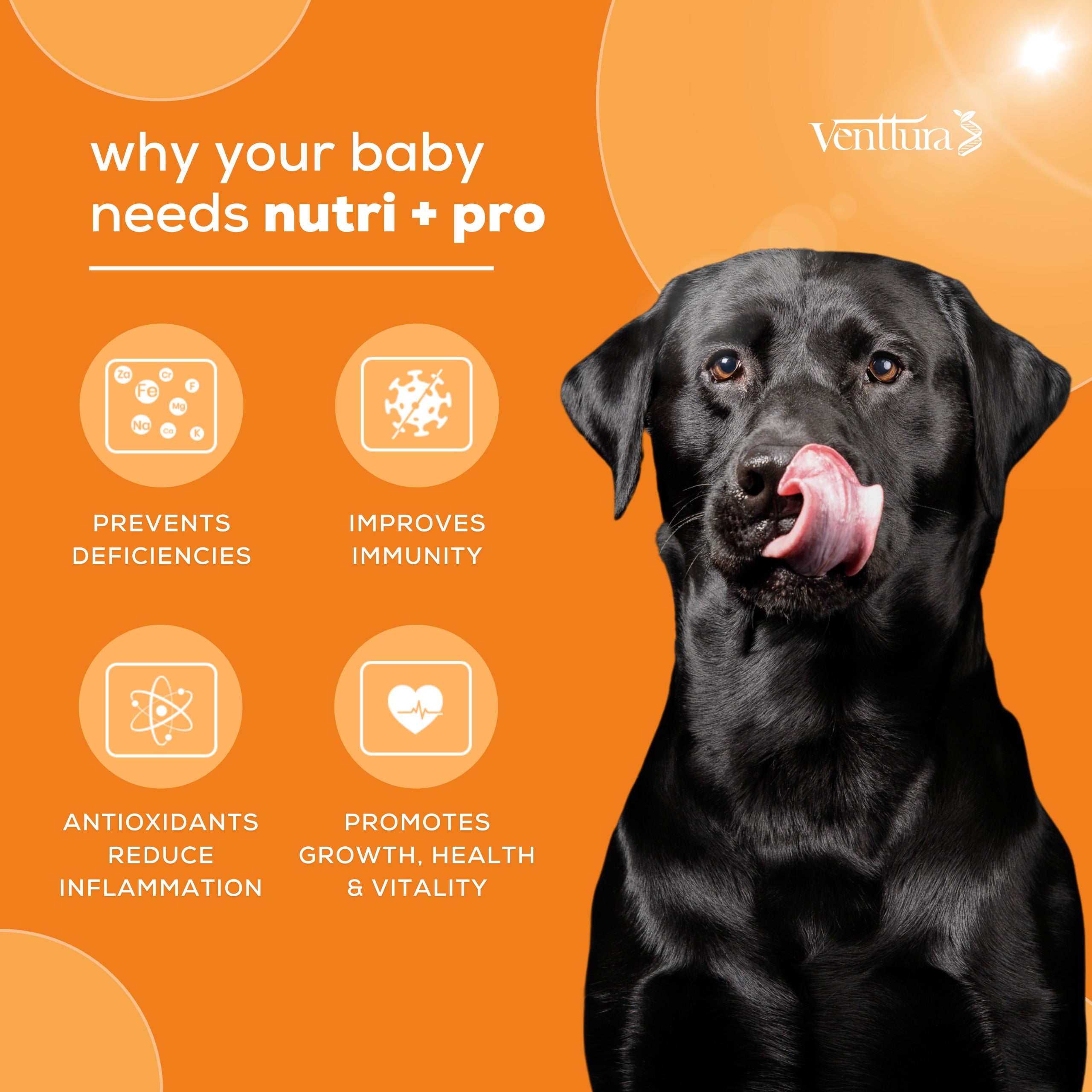 Venttura: Nutri+ Pro Chewable Tablets for Dogs