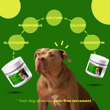 ALC Inovators - InHancer Hip & Joint Formula for Dogs