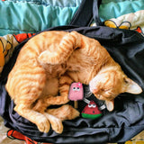 Fofos Watermelon With Popsicle Summer Cat Toy