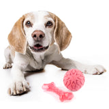 Fofos Milk Bone & Ball Puppy Teething Dog Toy Set