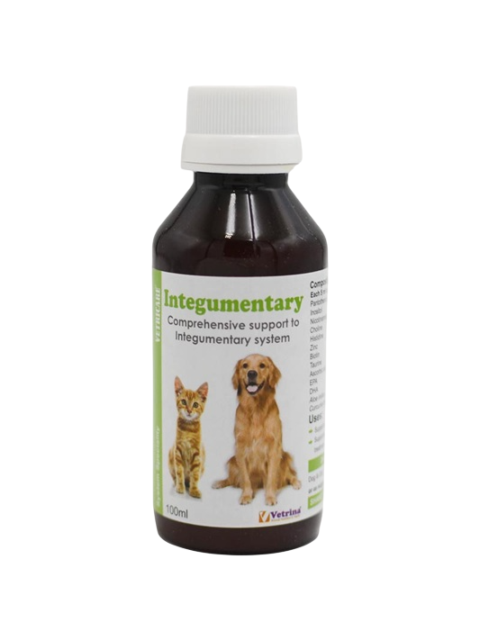 Vetrina: Vetricare Integumentary Support Syrup for Dogs & Cats