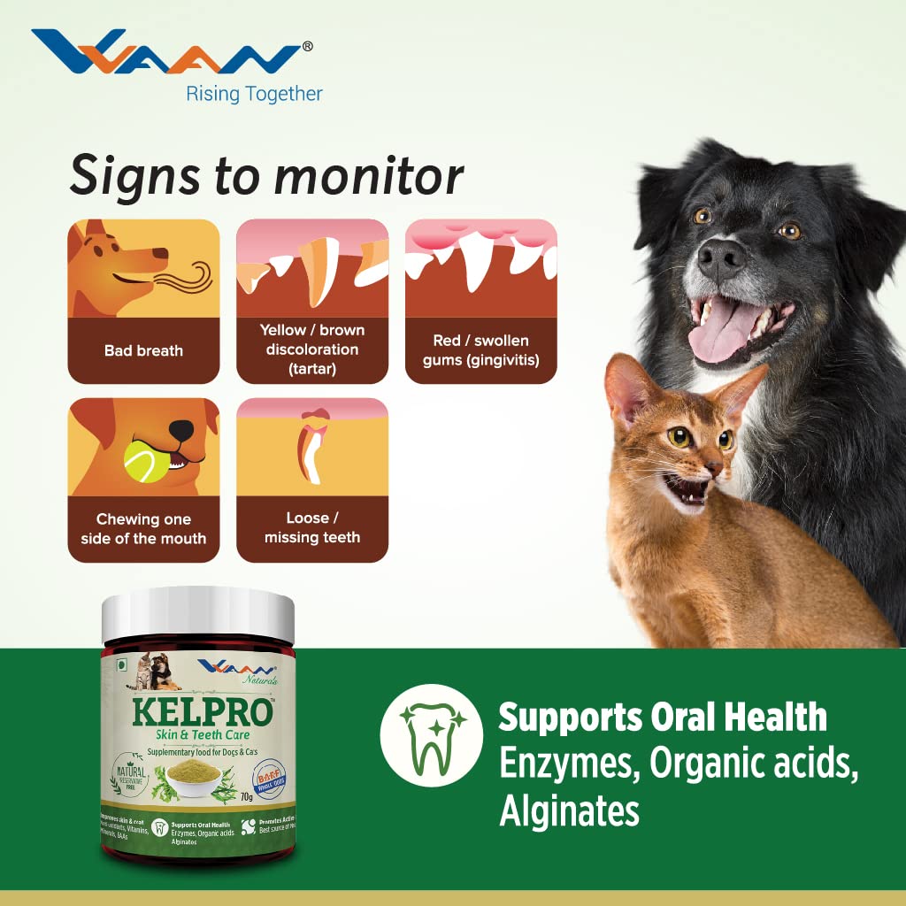 Vvaan Naturals Kelpro Skin & Teeth Care Supplementary Food For Dogs & Cats