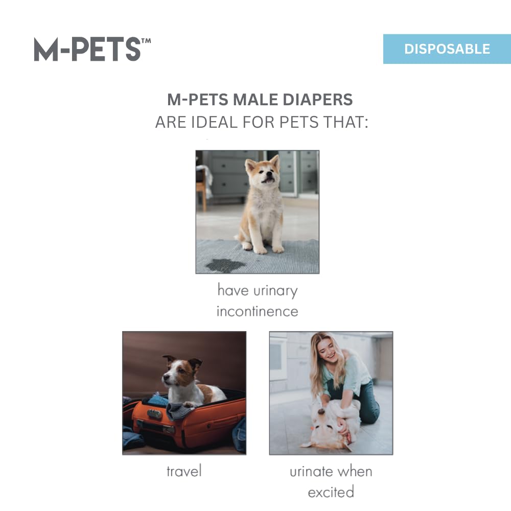 M- Pets Diapers For Male Dog Large