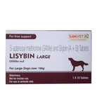 Savavet Lisybin – Liver Support Tablets for Large Dogs Over 16kg