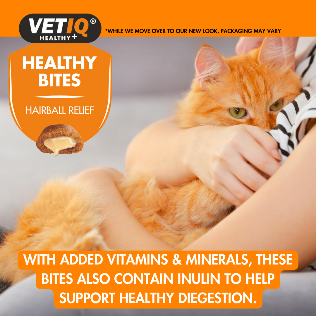Vetiq Healthy Bites Hairball Relife For Cats