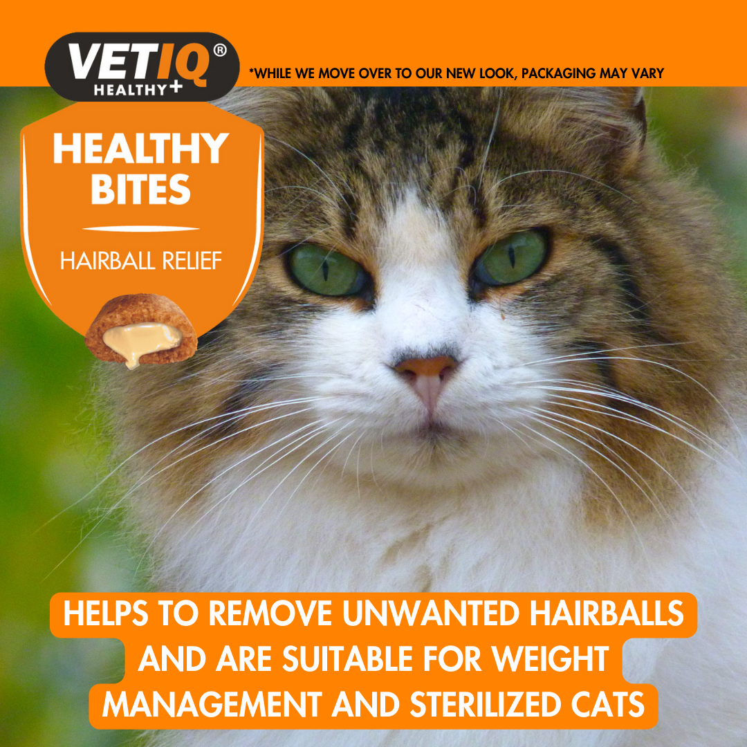Vetiq Healthy Bites Hairball Relife For Cats
