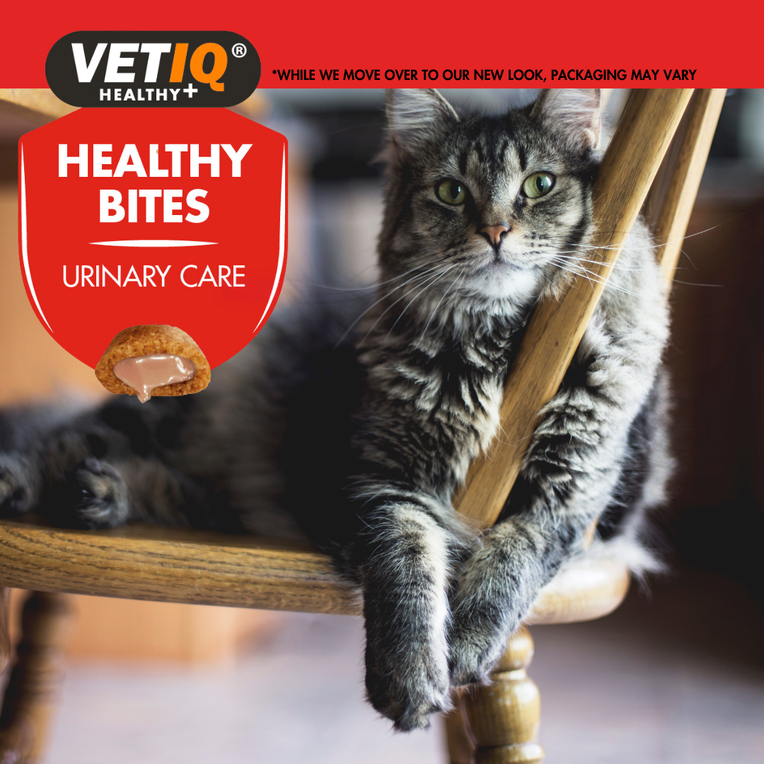 Vetiq Healthy Bites Urinary Care For Cats