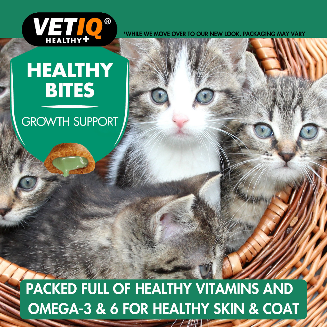 Vetiq Healthy Bites Growth Support For Kitten