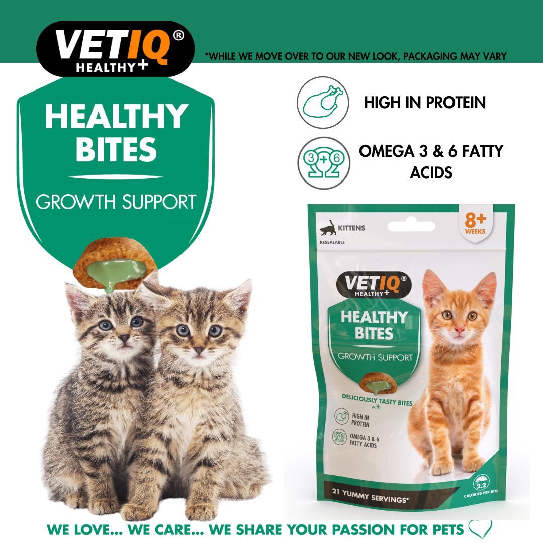 Vetiq Healthy Bites Growth Support For Kitten