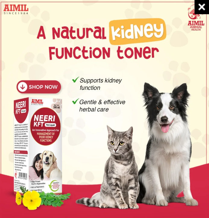 AIMIL Neeri KFT Pet Liquid - For Management Of Poor Kidney Function - Mango Flavour