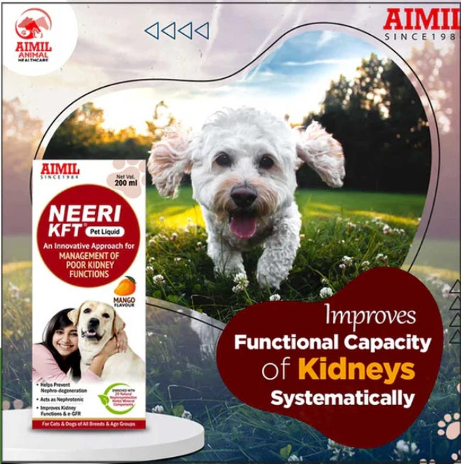 AIMIL Neeri KFT Pet Liquid - For Management Of Poor Kidney Function - Mango Flavour