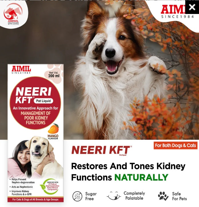 AIMIL Neeri KFT Pet Liquid - For Management Of Poor Kidney Function - Mango Flavour