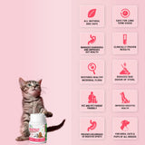 Natural Remedies : Natgut Digestive Health Supplement Tablets for Dogs & Cats