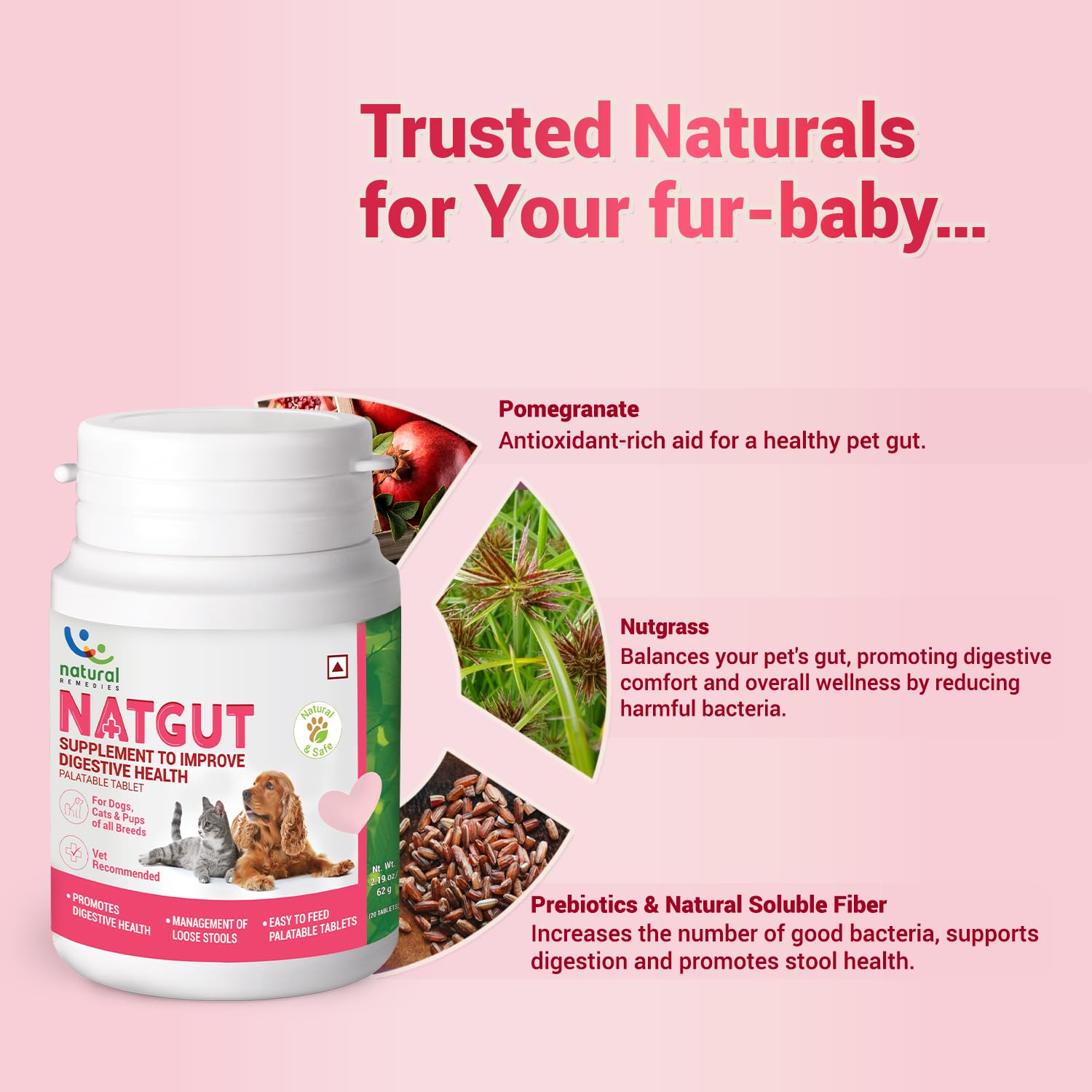 Natural Remedies : Natgut Digestive Health Supplement Tablets for Dogs & Cats