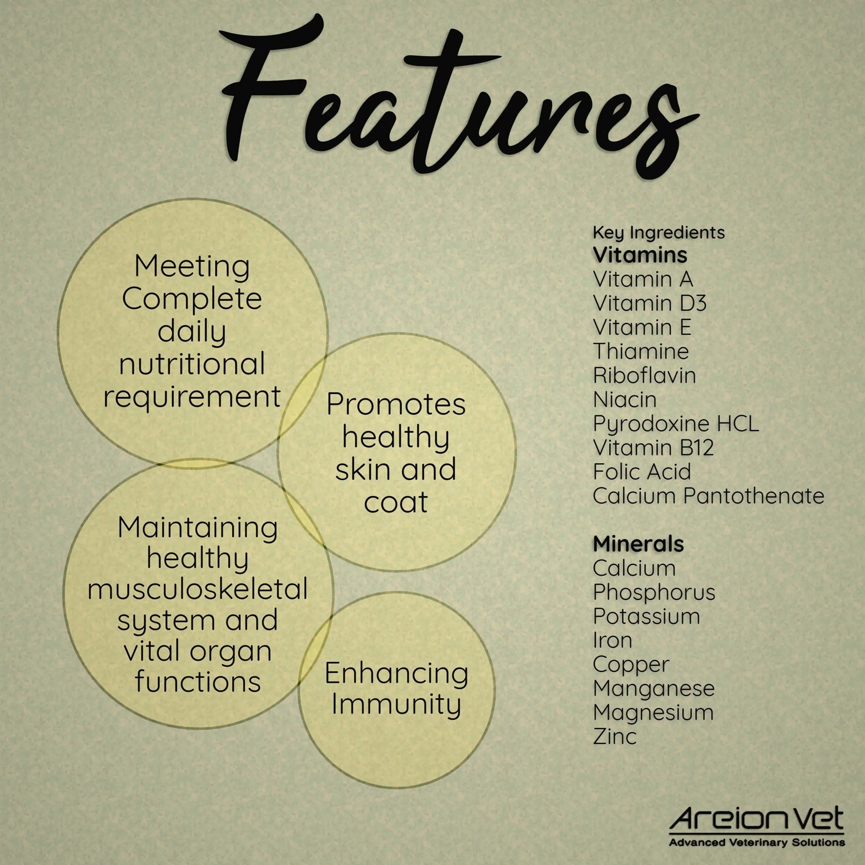 Areion Vet - Nutri Top Tablets - Multivitamin & Mineral Supplement for Pets