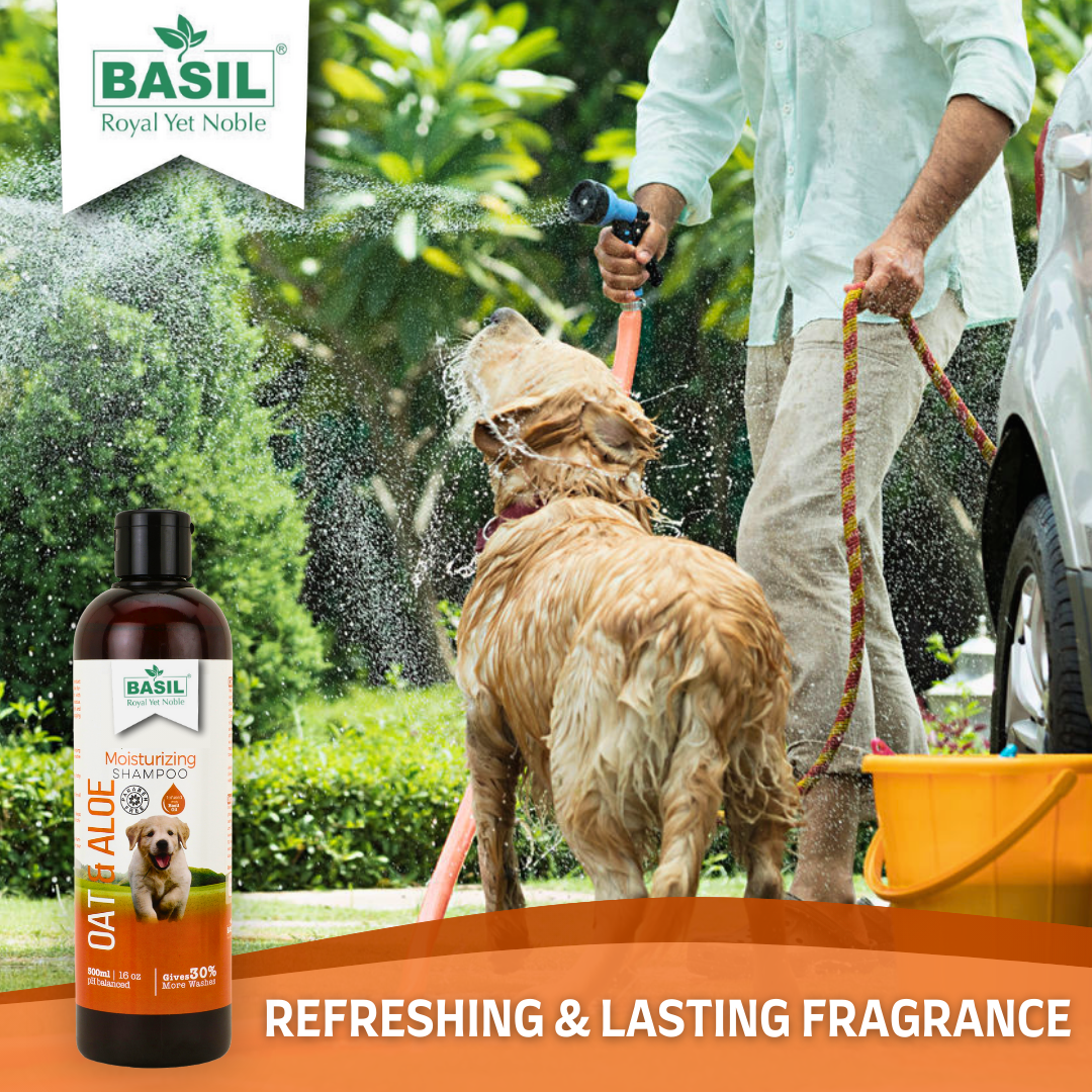 Basil Oats & Aloe Pet Moisturizing Shampoo