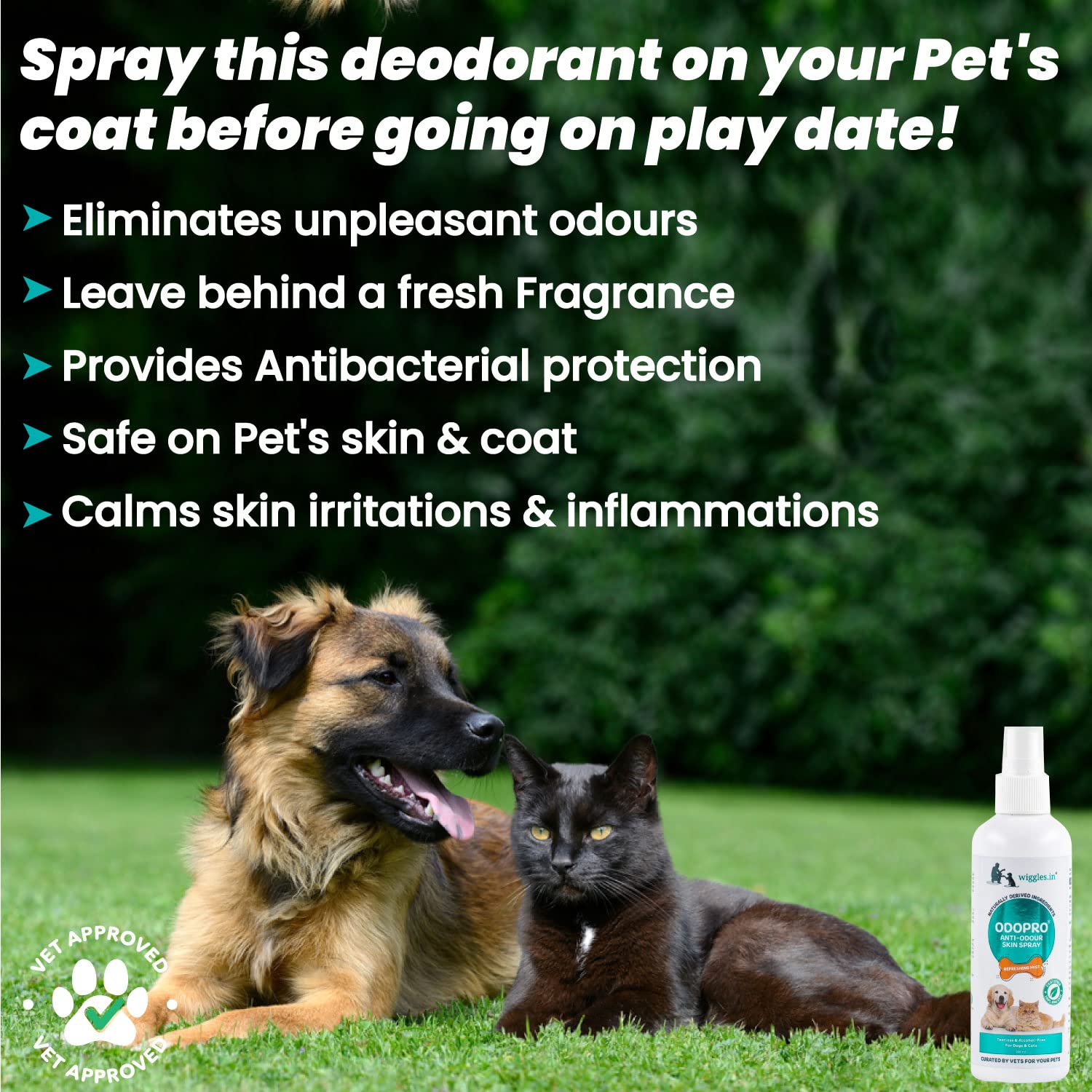 Wiggles Odopro Anti-Odour Skin Spray (Refreshing Mist)