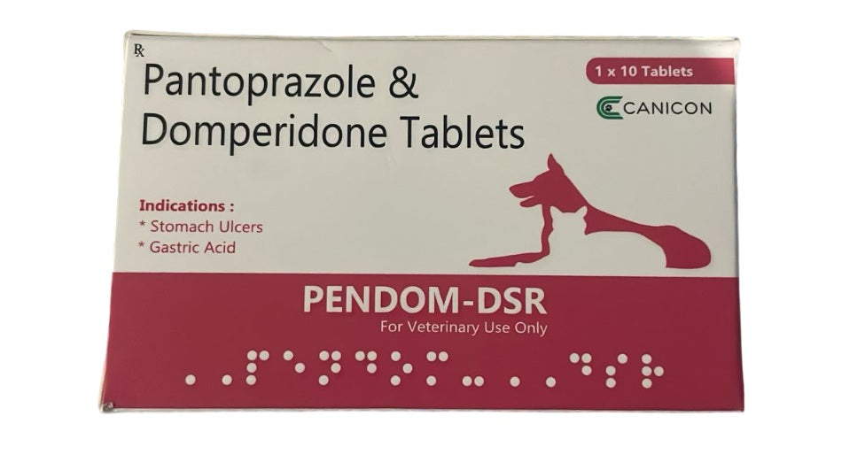 Canicon: Pendom-DSR - Pantoprazole & Domperidone Tablets