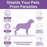 Veko Radicate Spot-On Solution for Dogs (20–40 kg)