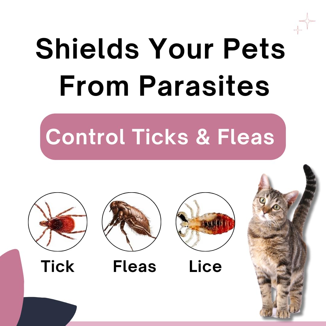 Veko Radicate Spot-On Solution for Cats (2.6–7.5 kg)