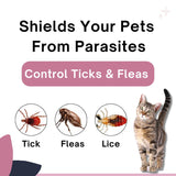 Veko Radicate Spot-On Solution for Cats (2.6–7.5 kg)