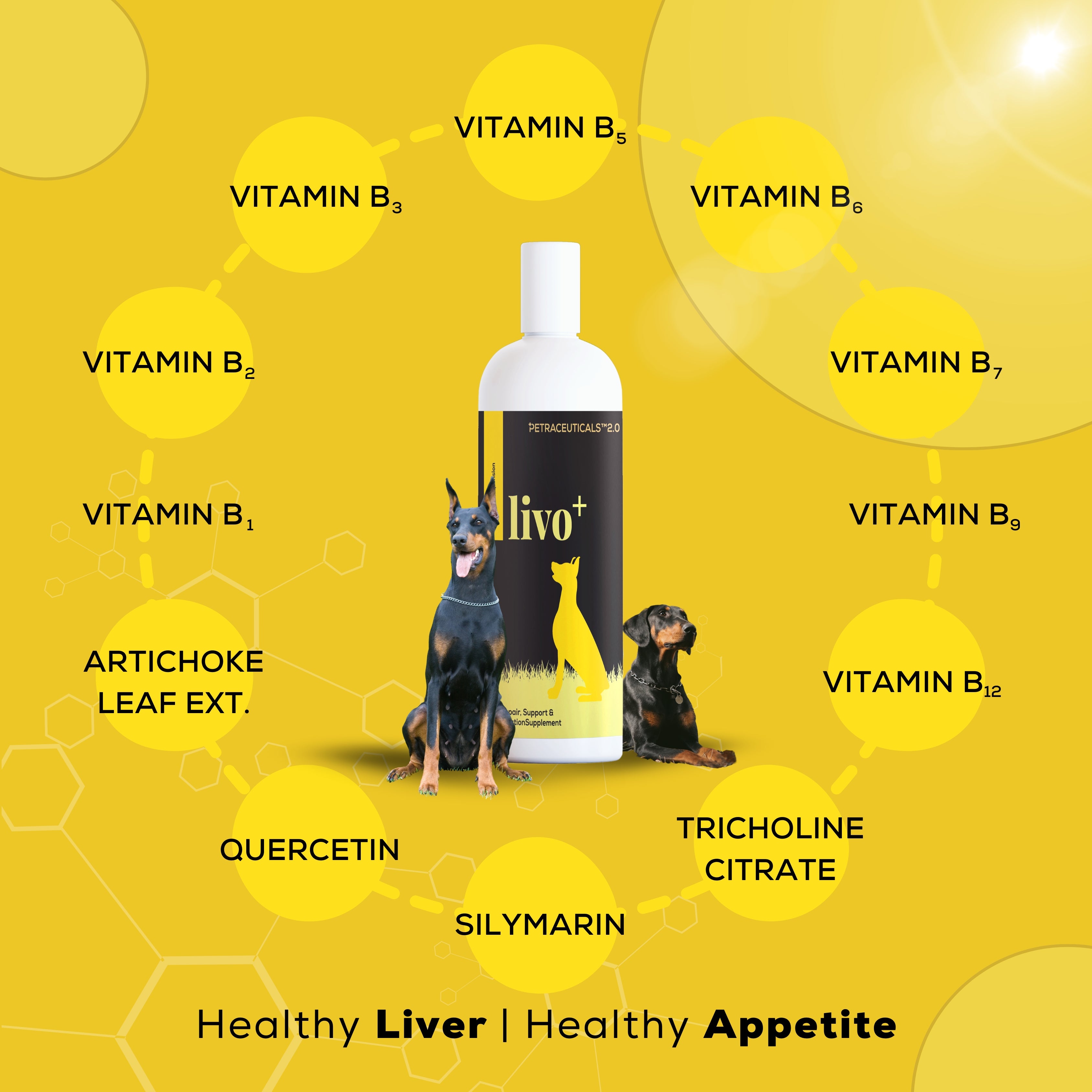 Venttura Livo+ Liver Support & Detoxification Supplement for Dogs
