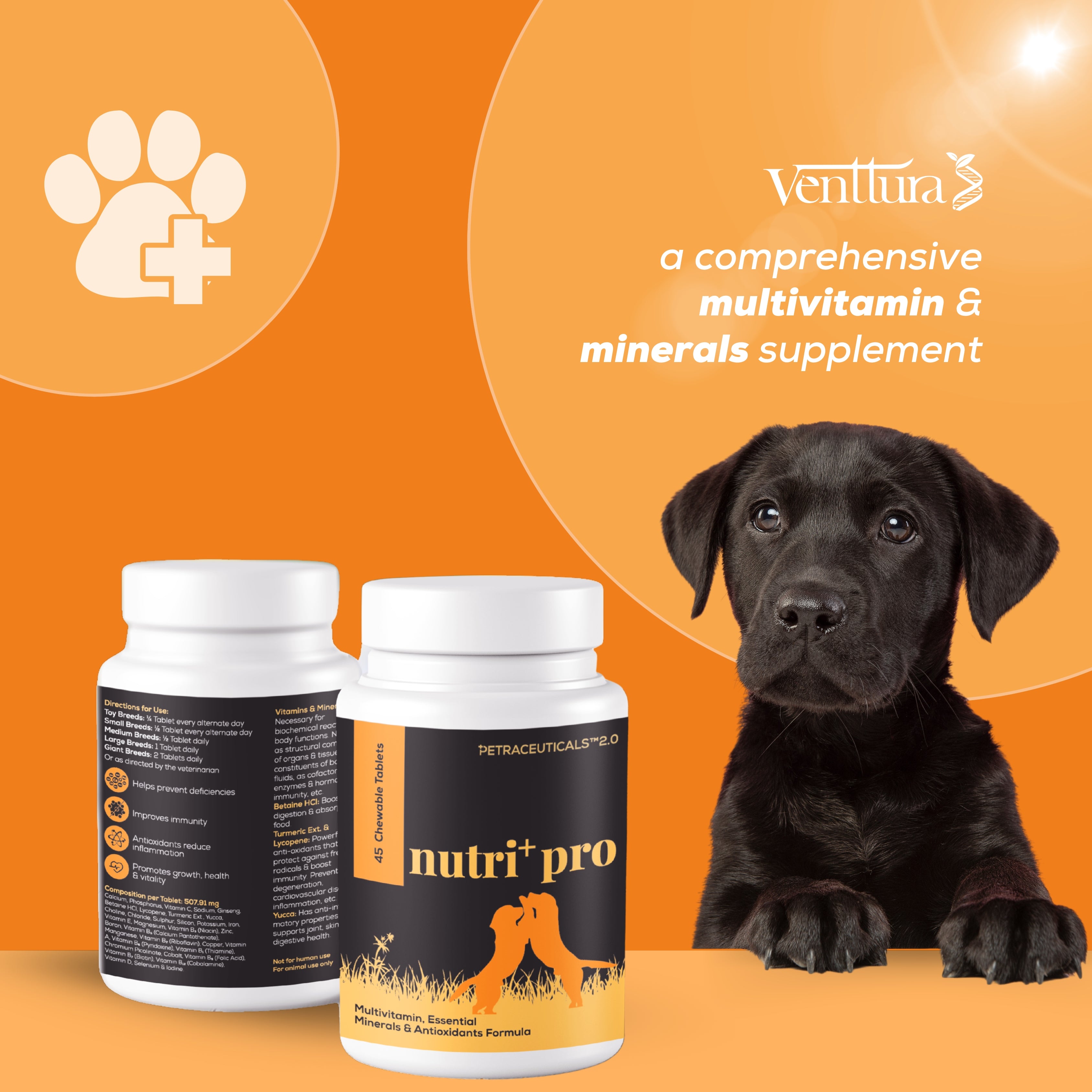 Venttura: Nutri+ Pro Chewable Tablets for Dogs